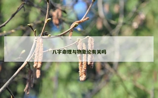 八字命理与物象论有关吗