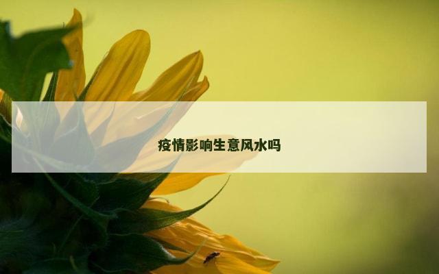 疫情影响生意风水吗