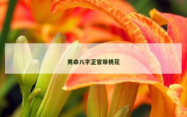 男命八字正官带桃花