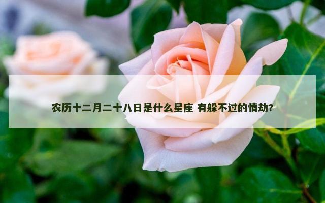 农历十二月二十八日是什么星座 有躲不过的情劫?