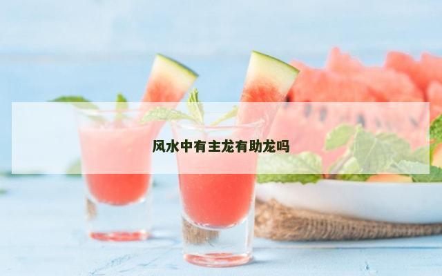 风水中有主龙有助龙吗