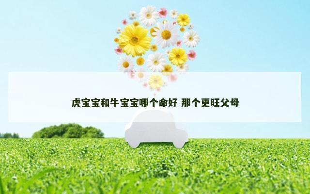 虎宝宝和牛宝宝哪个命好 那个更旺父母
