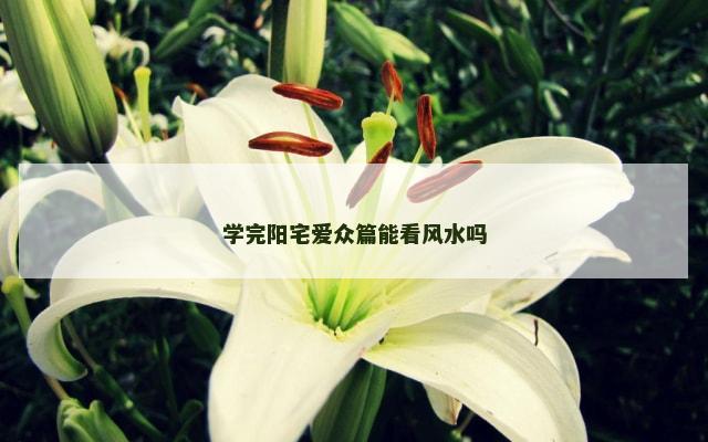 学完阳宅爱众篇能看风水吗