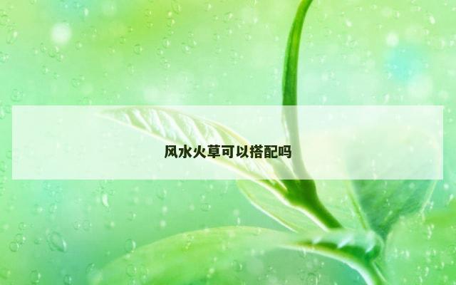 风水火草可以搭配吗