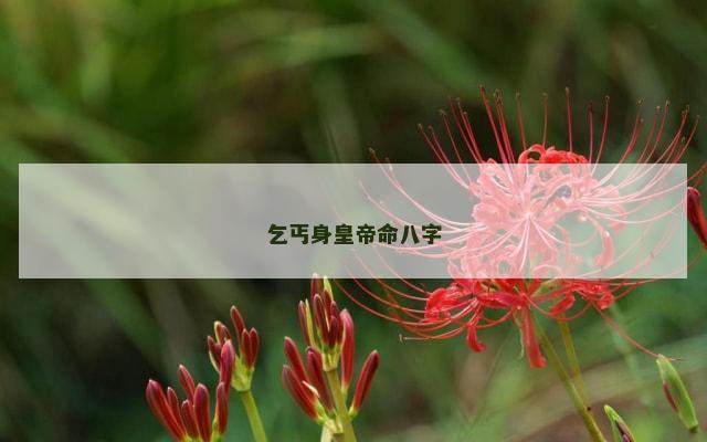 乞丐身皇帝命八字