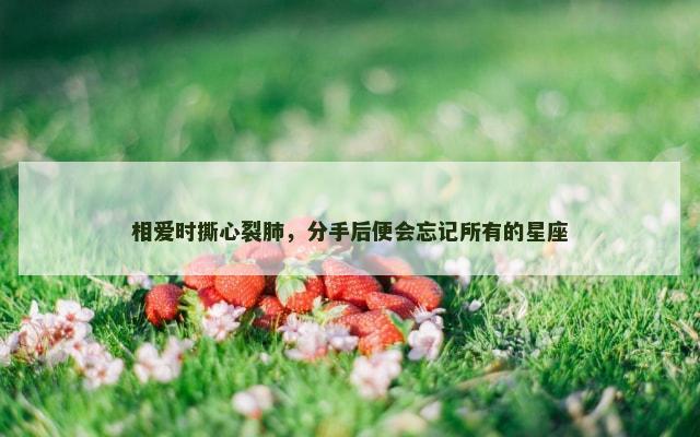 相爱时撕心裂肺，分手后便会忘记所有的星座