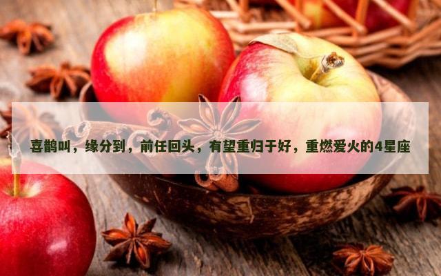喜鹊叫，缘分到，前任回头，有望重归于好，重燃爱火的4星座