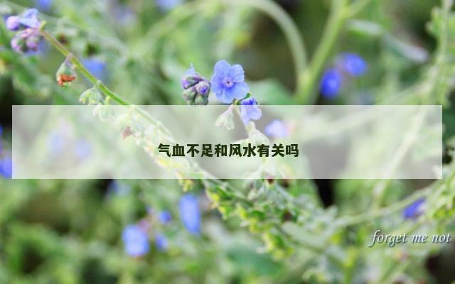 气血不足和风水有关吗