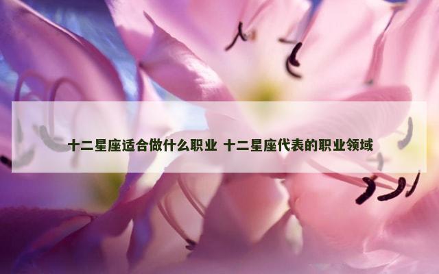 十二星座适合做什么职业 十二星座代表的职业领域