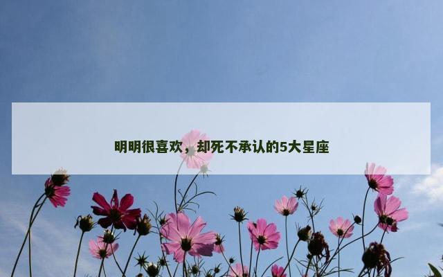 明明很喜欢，却死不承认的5大星座