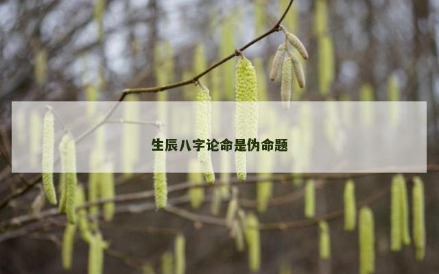 生辰八字论命是伪命题
