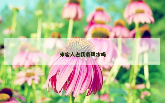 来客人占我家风水吗