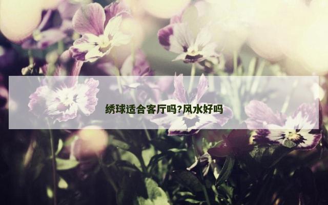 绣球适合客厅吗?风水好吗