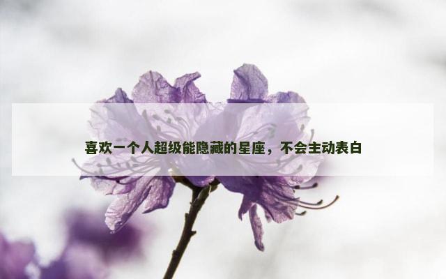 喜欢一个人超级能隐藏的星座，不会主动表白