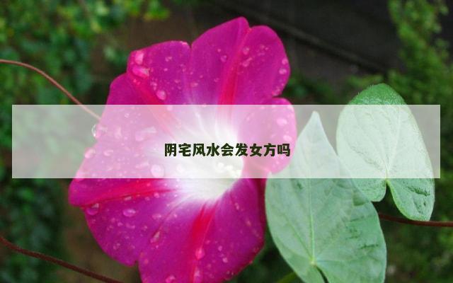 阴宅风水会发女方吗