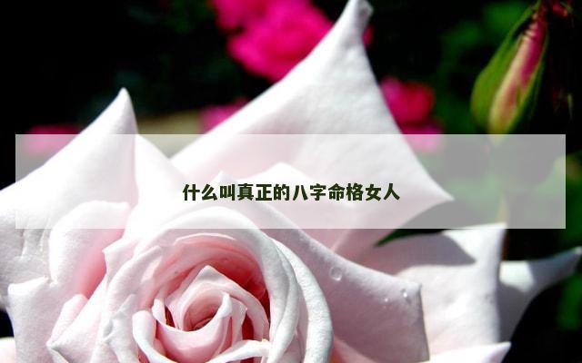 什么叫真正的八字命格女人