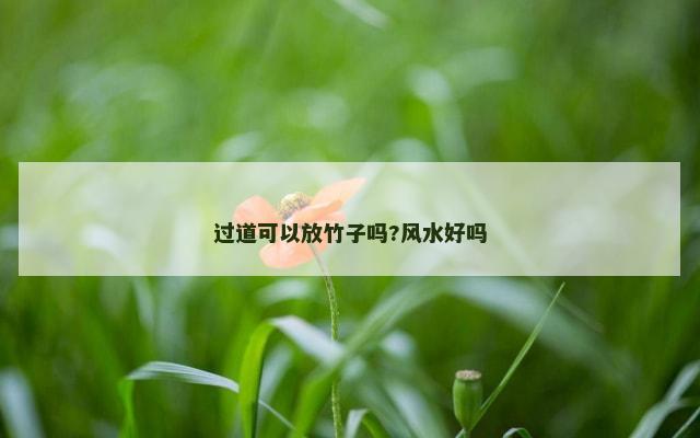 过道可以放竹子吗?风水好吗