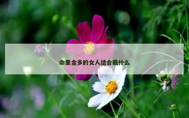 命里金多的女人适合戴什么