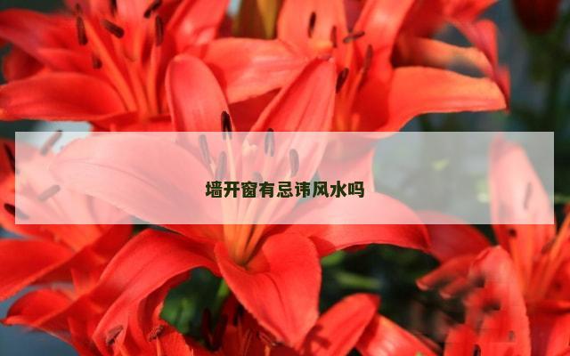 墙开窗有忌讳风水吗