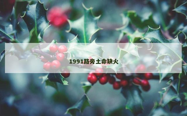 1991路旁土命缺火