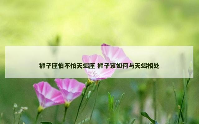 狮子座怕不怕天蝎座 狮子该如何与天蝎相处