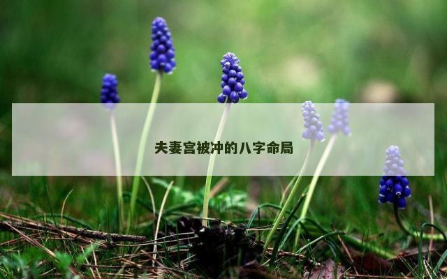 夫妻宫被冲的八字命局
