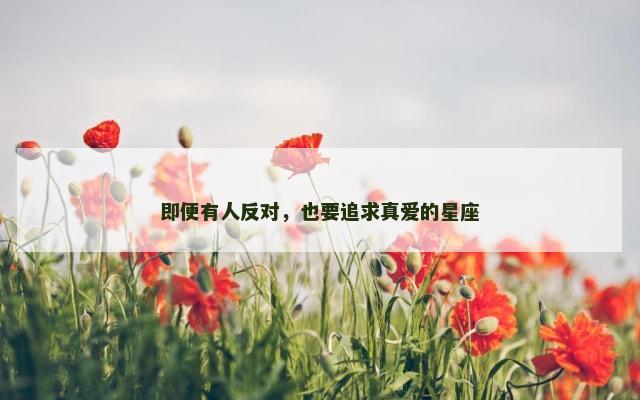 即便有人反对，也要追求真爱的星座