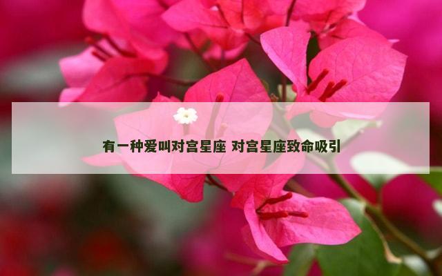 有一种爱叫对宫星座 对宫星座致命吸引