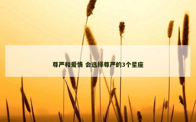 尊严和爱情 会选择尊严的3个星座