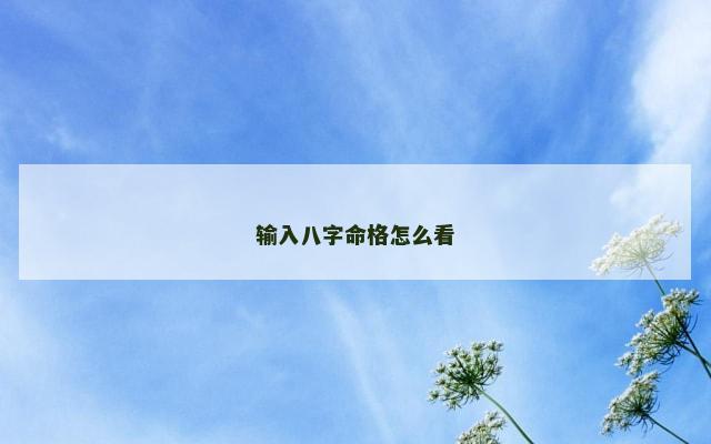 输入八字命格怎么看