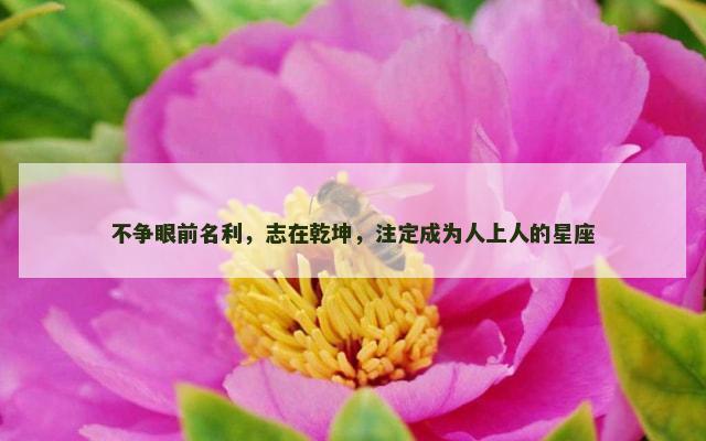 不争眼前名利，志在乾坤，注定成为人上人的星座