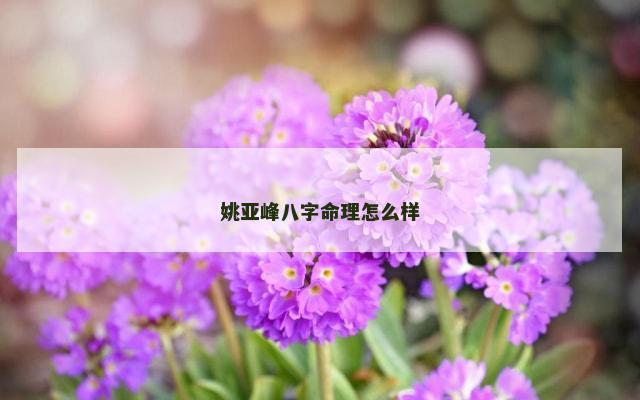 姚亚峰八字命理怎么样