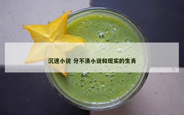 沉迷小说 分不清小说和现实的生肖