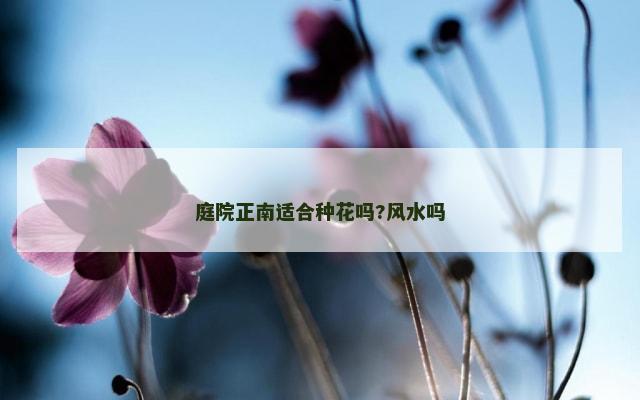 庭院正南适合种花吗?风水吗
