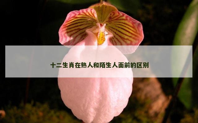 十二生肖在熟人和陌生人面前的区别