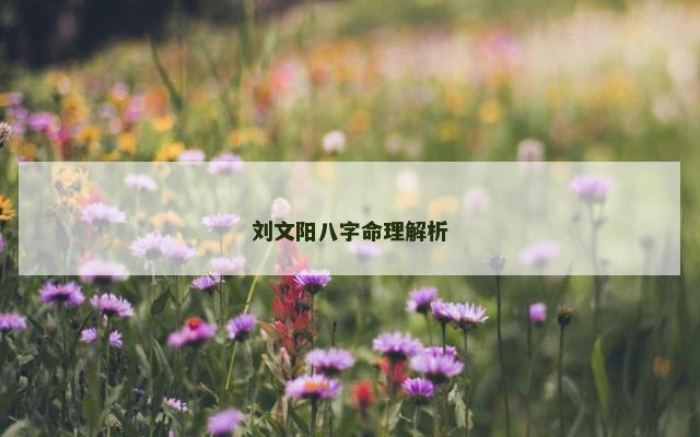 刘文阳八字命理解析