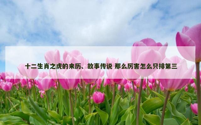 十二生肖之虎的来历、故事传说 那么厉害怎么只排第三