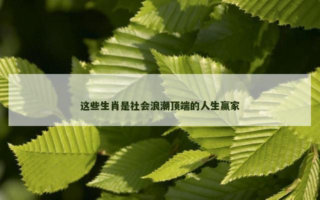 这些生肖是社会浪潮顶端的人生赢家
