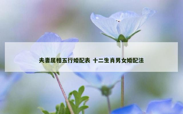 夫妻属相五行婚配表 十二生肖男女婚配法