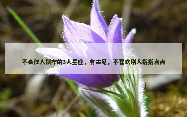 不会任人摆布的3大星座，有主见，不喜欢别人指指点点