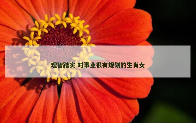 理智踏实 对事业很有规划的生肖女