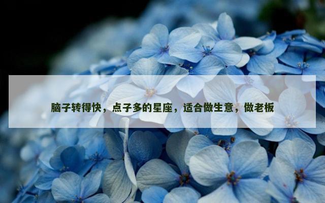 脑子转得快，点子多的星座，适合做生意，做老板