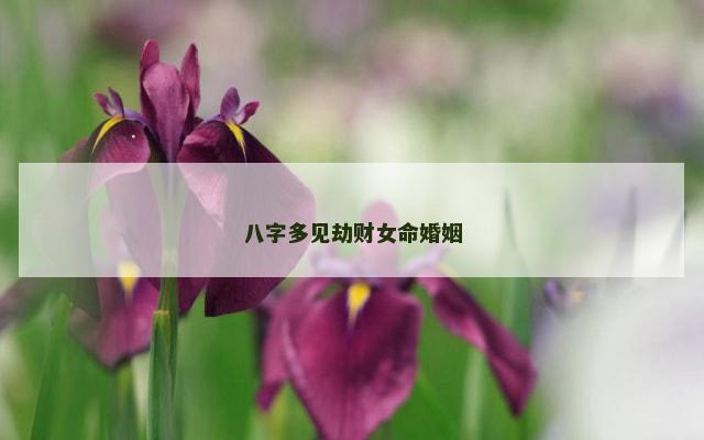 八字多见劫财女命婚姻