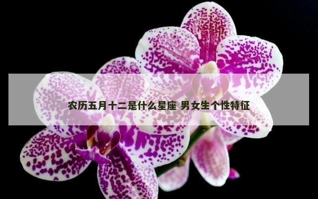 农历五月十二是什么星座 男女生个性特征
