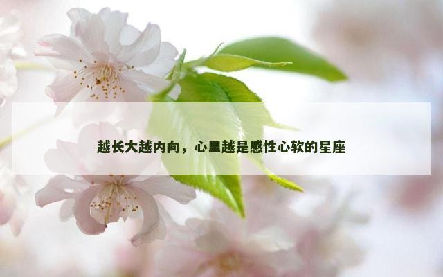 越长大越内向，心里越是感性心软的星座