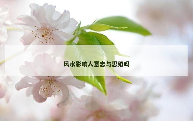 风水影响人意志与思维吗