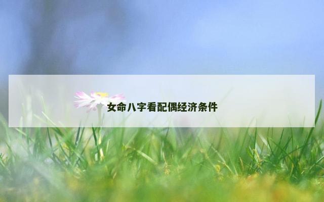 女命八字看配偶经济条件