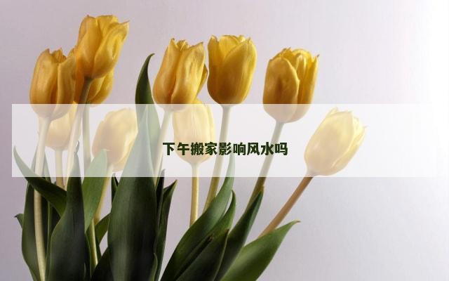 下午搬家影响风水吗