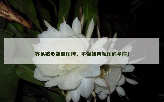 容易被负能量压垮，不懂如何解压的星座！