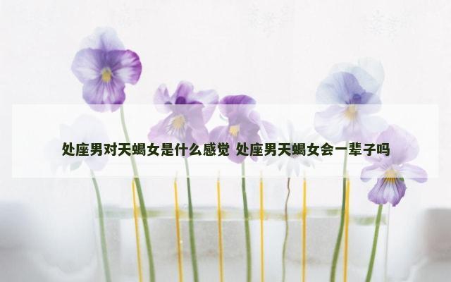 处座男对天蝎女是什么感觉 处座男天蝎女会一辈子吗